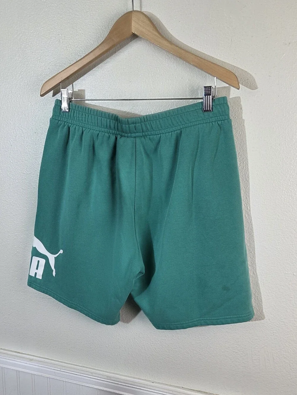 Puma big logo